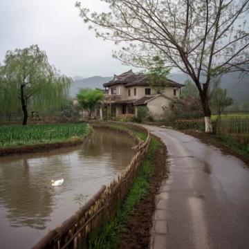 探索安徽樅陽縣的美味之旅：媒鴨、生腐與掛面等傳統(tǒng)美食的背后故事