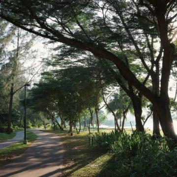 探尋文昌東郊椰林的神秘海域