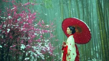 鞍山千山梨花節(jié)：非遺與美食盛宴，領(lǐng)略地域風(fēng)情