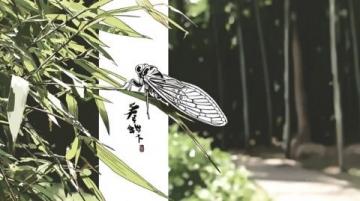 鄉(xiāng)村夏夜捕蟬記:舌尖美味與童年回憶