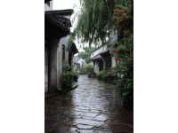 微風(fēng)微風(fēng)帶大家走進(jìn)杭州塘西，也就是大家熟知的塘棲古鎮(zhèn)