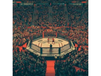 「那些年在UFC呼風喚雨的巴西幫，在UFC中是怎樣一股可怕的勢力？巴西幫