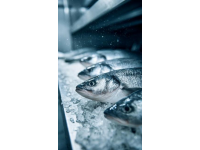 三點(diǎn)必知！養(yǎng)殖青魚的水深度、密度和水環(huán)境管理秘籍