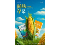 如何制作美味雙皮奶，廣東經(jīng)典甜品教學(xué)指南