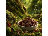 煙雨江南的暖胃之選：椰語江南·胡椒豬肚雞盛宴等你來品鑒