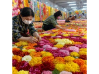 春節(jié)途經(jīng)雞街收費(fèi)站：對(duì)紅河人而言，這里充滿回憶與鄉(xiāng)愁