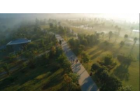 藏不住啦！北京周末新聚點通州綠心公園