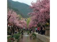 假如你有幸來(lái)到河北最美城市南宮，沒吃過(guò)這幾樣，算白來(lái)一趟！