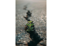 避免無效努力：走出自滿心態(tài)，踏上高效學習之路