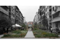 為更好的城市生活習(xí)得文明常識