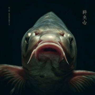 泰熱門節(jié)目使用魔鬼魚引發(fā)爭(zhēng)議，制片人聲明回應(yīng)質(zhì)疑