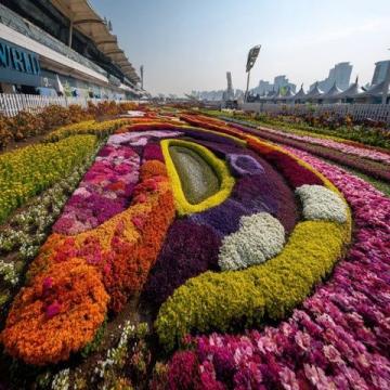 江蘇無(wú)錫九龍灣花星球:四季花開(kāi)的花卉休閑勝地