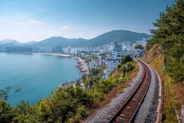 一口入魂美食炸彈在中國(guó)北方的海岸線上，青島像一顆鑲嵌在黃海之濱的明珠