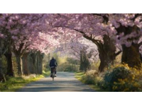 騎車去春游，公園推薦,騎車野餐是我認(rèn)為度過春天最慵懶的方式了