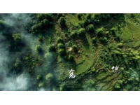 舌尖上的西域風(fēng)情