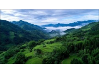2025儋州旅游攻略：十大必玩景點與地道美食探索