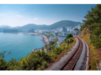 一口入魂美食炸彈在中國(guó)北方的海岸線上，青島像一顆鑲嵌在黃海之濱的明珠