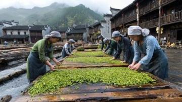 國慶意外出游:與家人共賞石泉古鎮(zhèn)魅力及美食之旅