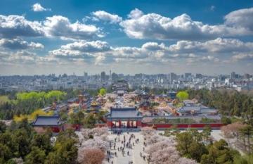 曲阜之旅指南:必知必見的曲阜旅游信息