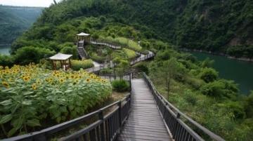 上饒夏日避暑勝地：三清山、臥龍谷徒步探險(xiǎn)吸氧天堂