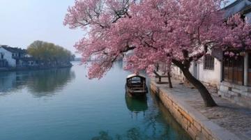 漫步武漢春意盎然：探秘櫻花盛開與都市風(fēng)情24小時(shí)之旅