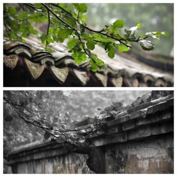 煙雨江南，味蕾飄香