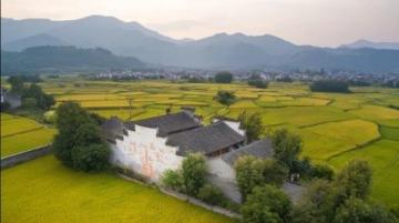 浙江松陽(yáng):親子慢游的理想之地