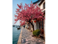 漫步武漢春意盎然：探秘櫻花盛開與都市風(fēng)情24小時之旅