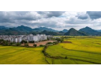 浙江松陽(yáng)：親子慢游的理想之地
