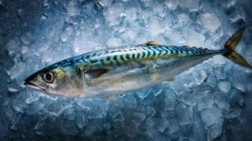 食用須知：這種河鮮魚(yú)籽含劇毒，煮熟也無(wú)法消除危險(xiǎn)