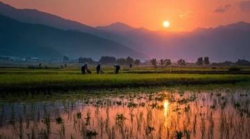 云南8日7晚跟團(tuán)游:美景美食雙享攻略