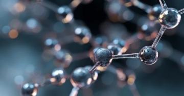 糖分轉化碳鏈，為生命提供能量源泉