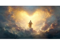 生命的絕響愛與奉獻的精神永續(xù)相傳