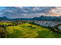 南詔|一半閩