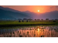 云南8日7晚跟團(tuán)游：美景美食雙享攻略