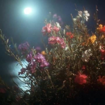 那年花開(kāi)月正圓中，因?yàn)閯〗M的道具飯實(shí)在太好吃