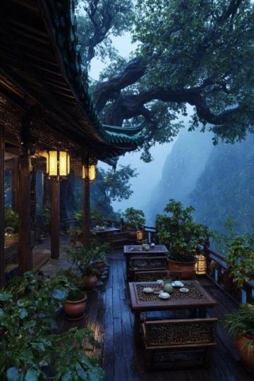 南方地區(qū)的特色美食推薦：廣東早茶、福建佛跳墻、廣西螺螄粉……不可錯(cuò)過的味蕾之旅