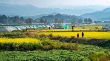 浙江松陽(yáng):親子慢游的理想之地