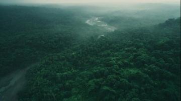 西雙版納旅游攻略:熱帶雨林與傣族文化的完美結(jié)合