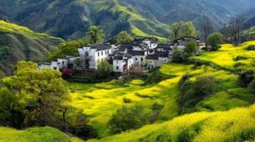 我在頭條曬家鄉(xiāng) 這個(gè)話題真好,我的家鄉(xiāng)是山東泗水的小山村。有古老歷史文化、五谷雜糧和長(zhǎng)壽的老人……".