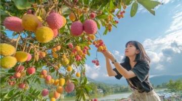 伊春之旅:在森林與美食中暢游