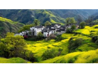 我在頭條曬家鄉(xiāng) 這個(gè)話題真好,我的家鄉(xiāng)是山東泗水的小山村。有古老歷史文化、五谷雜糧和長(zhǎng)壽的老人……".