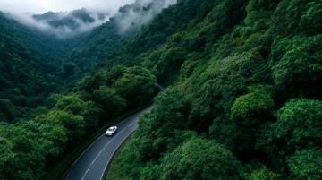 西雙版納旅游攻略:熱帶雨林與傣族文化的完美結(jié)合