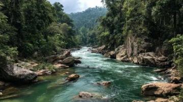 西雙版納旅游攻略:熱帶雨林與傣族文化的完美結(jié)合