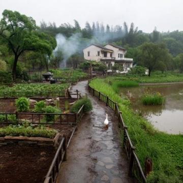 臺(tái)山市四九鎮(zhèn)鰍魚角溯溪泡潭，食黑豆鰍魚湯黃鱔飯：一游四九鎮(zhèn)鰍魚角的美麗水潭