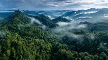 西雙版納旅游攻略:熱帶雨林與傣族文化的完美結(jié)合