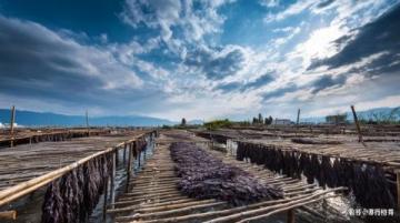 云端之藍(lán)：瀘沽湖畔的旅行回憶