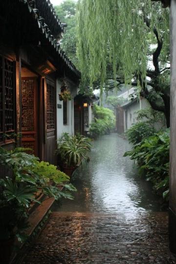 杭州攻略5天4晚費(fèi)用(杭州5天4夜1500元預(yù)算攻略)