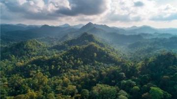 西雙版納旅游攻略:熱帶雨林與傣族文化的完美結(jié)合