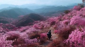 秦孟祿夫婦回高密賞梨花，共游春日美景故鄉(xiāng)情深